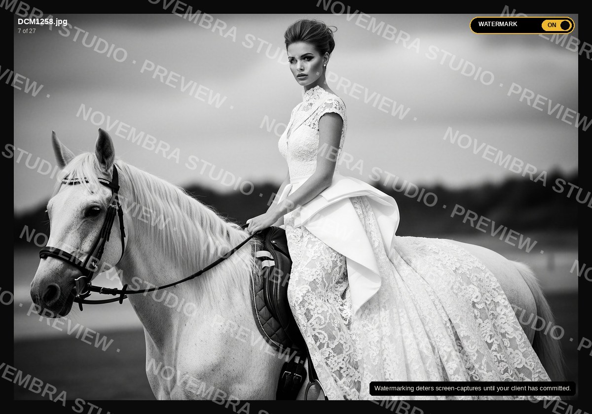 A dark lightbox preview of a black-and-white equestrian photograph overlaid with a diagonal repeating "Novembra Studio · Preview" watermark and a "WATERMARK: ON" toggle pill in the top-right corner.